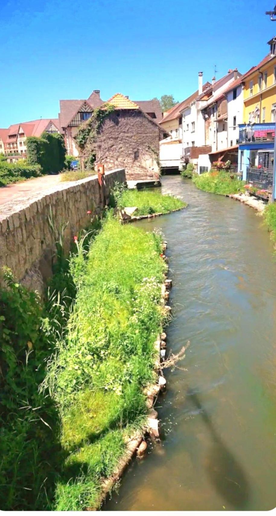 L'atypique Des Remparts * Ensisheim